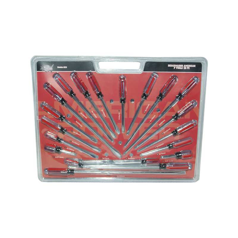 DESARMADOR AMERICAN P TOOLS LUJO 20 PZ | 0231